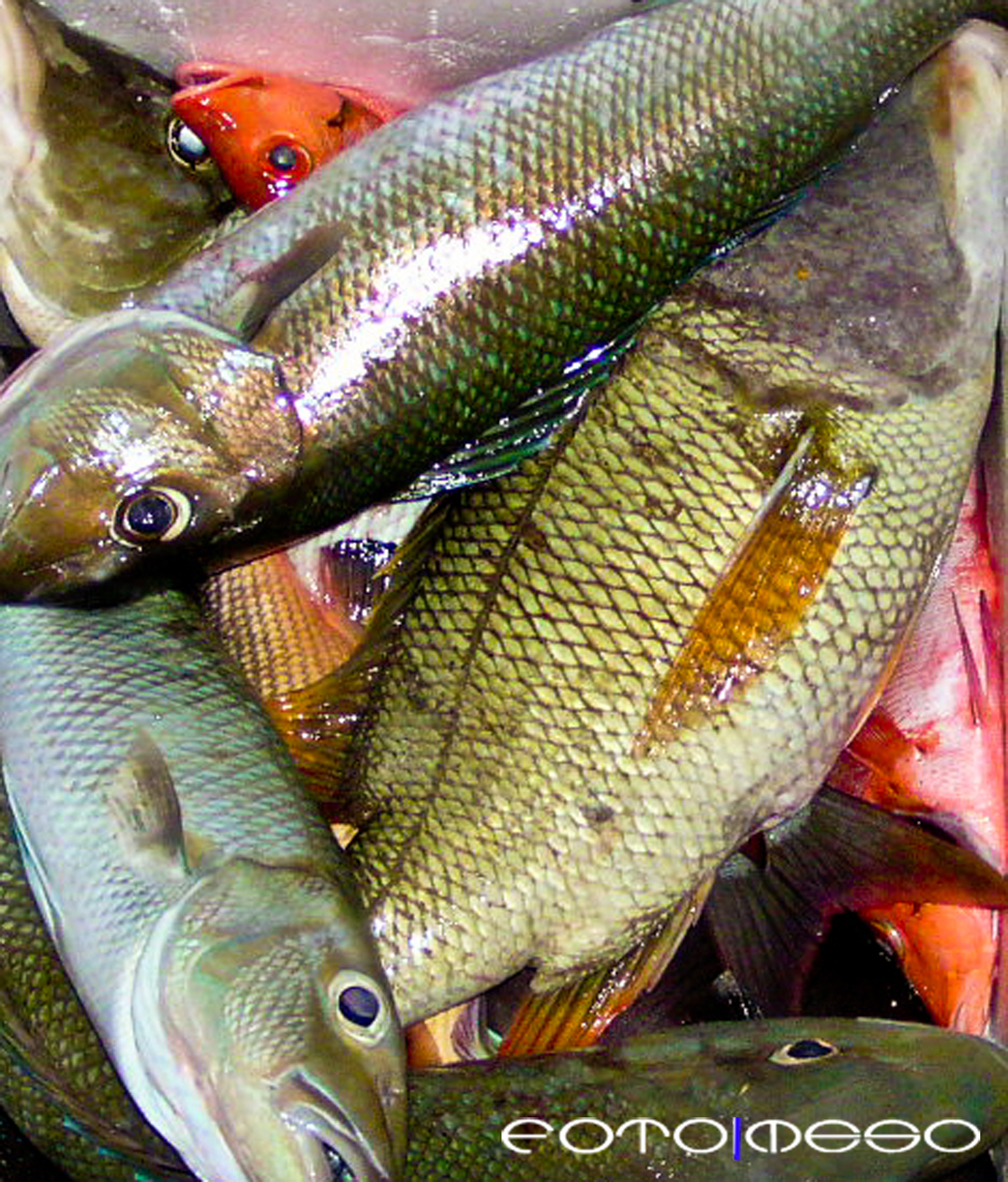 Maldives (2 of 13) edit